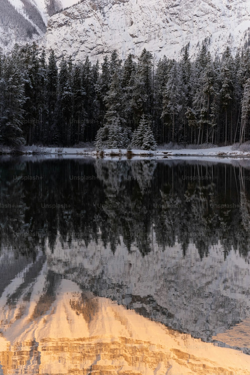 눈과 나무로 둘러싸인 호수