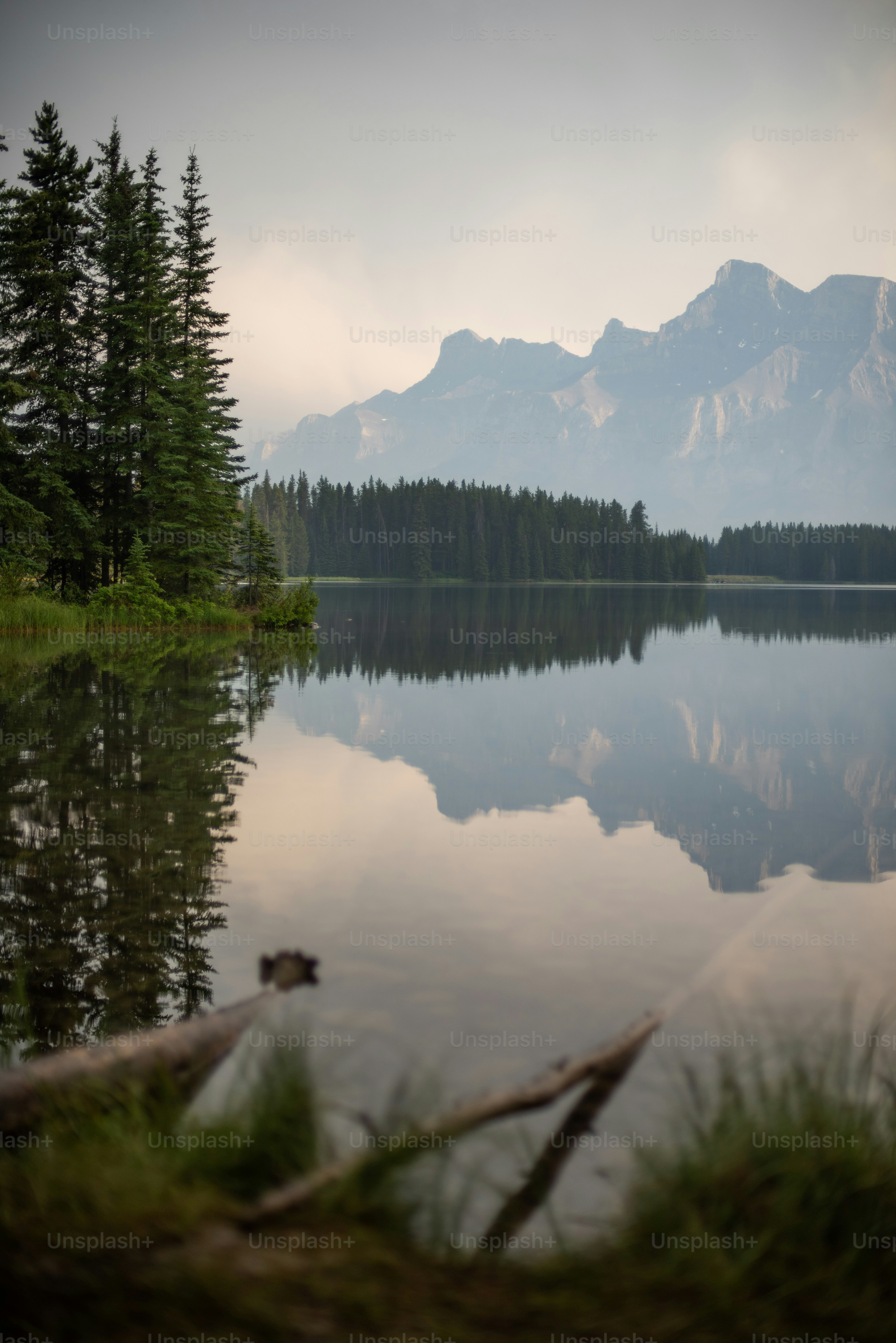 Un lago con alberi e montagne sullo sfondo