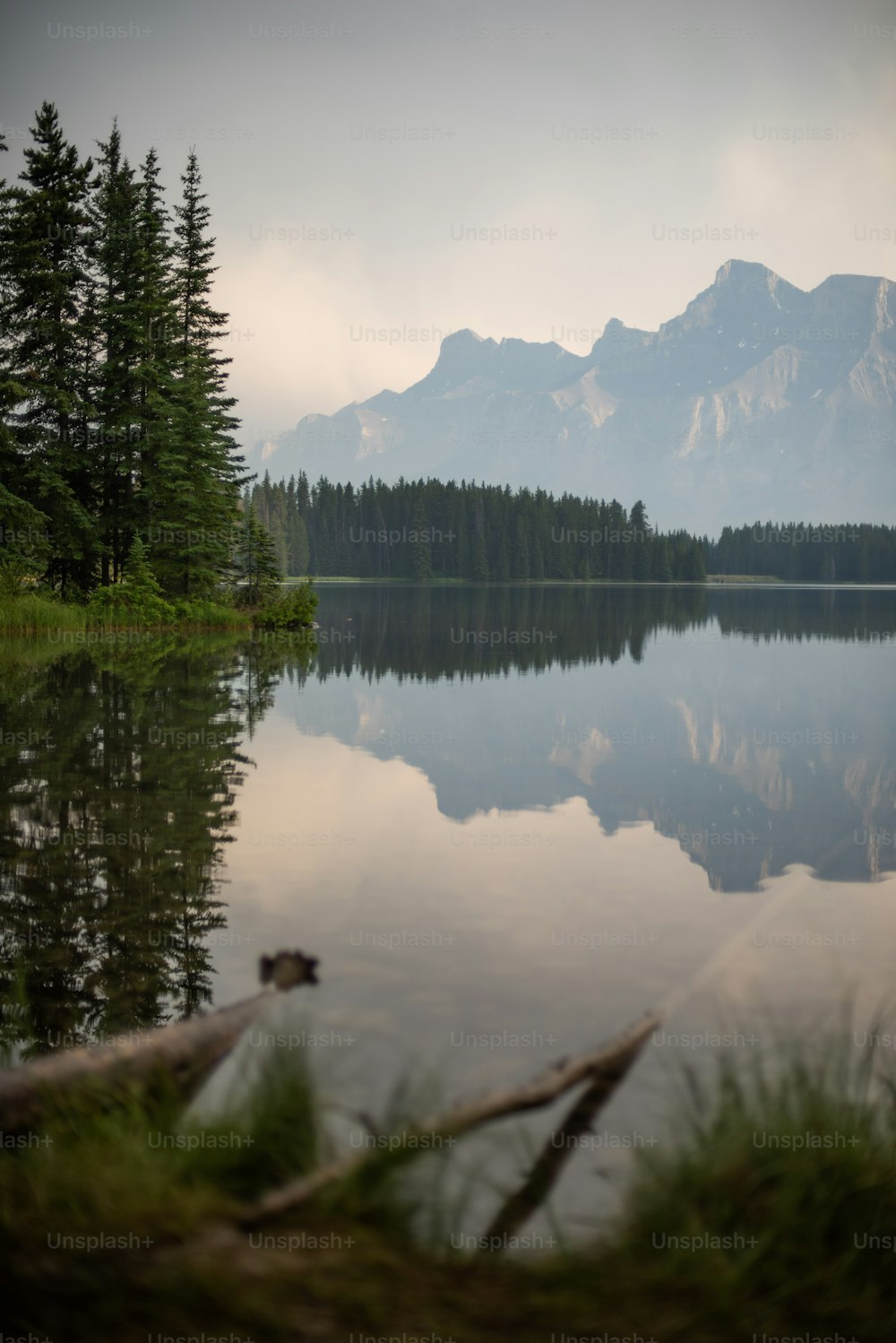 Un lac avec des arbres et des montagnes en arrière-plan