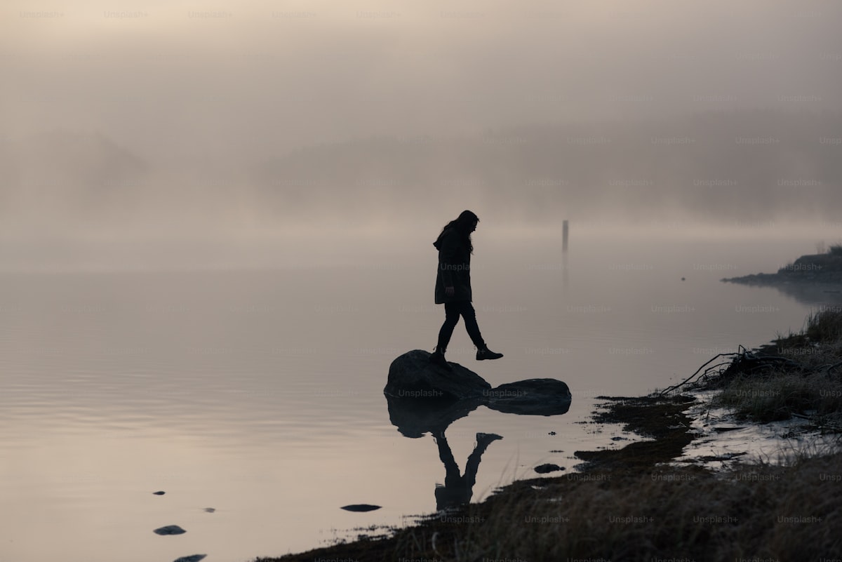 Person standing on a rock in a body of water, solitary mechanism-of-loneliness register