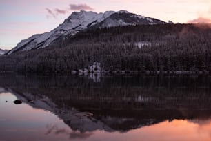 Un lac avec une montagne enneigée en arrière-plan