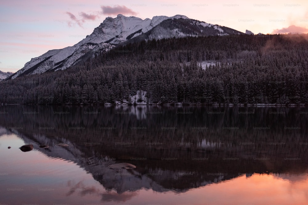 a lake with a snowy mountain in the background