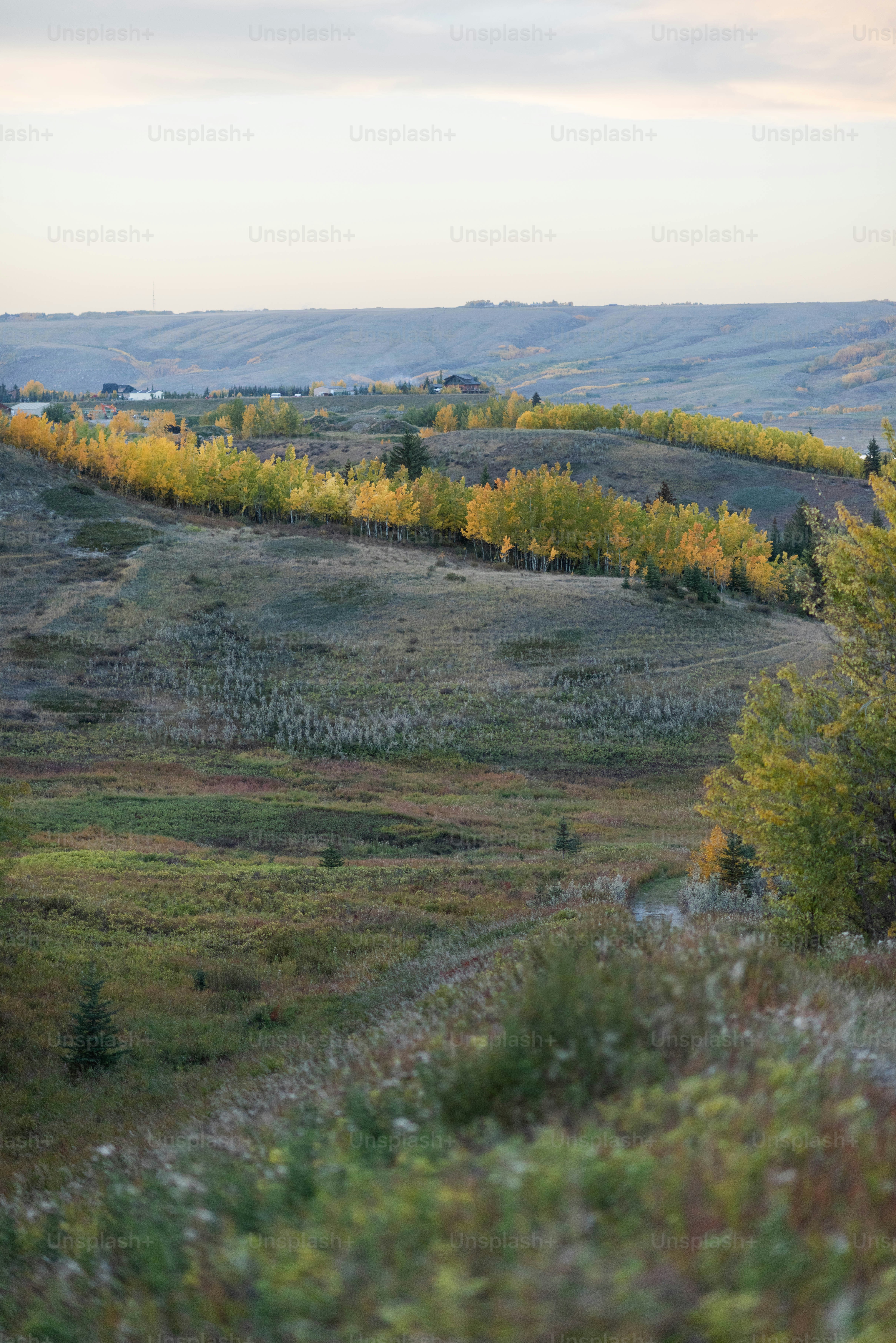 Huntingdale, Western Australia