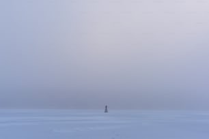 a sailboat in the water