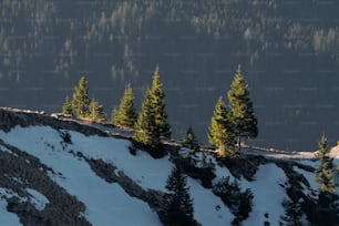 a snowy mountain with trees