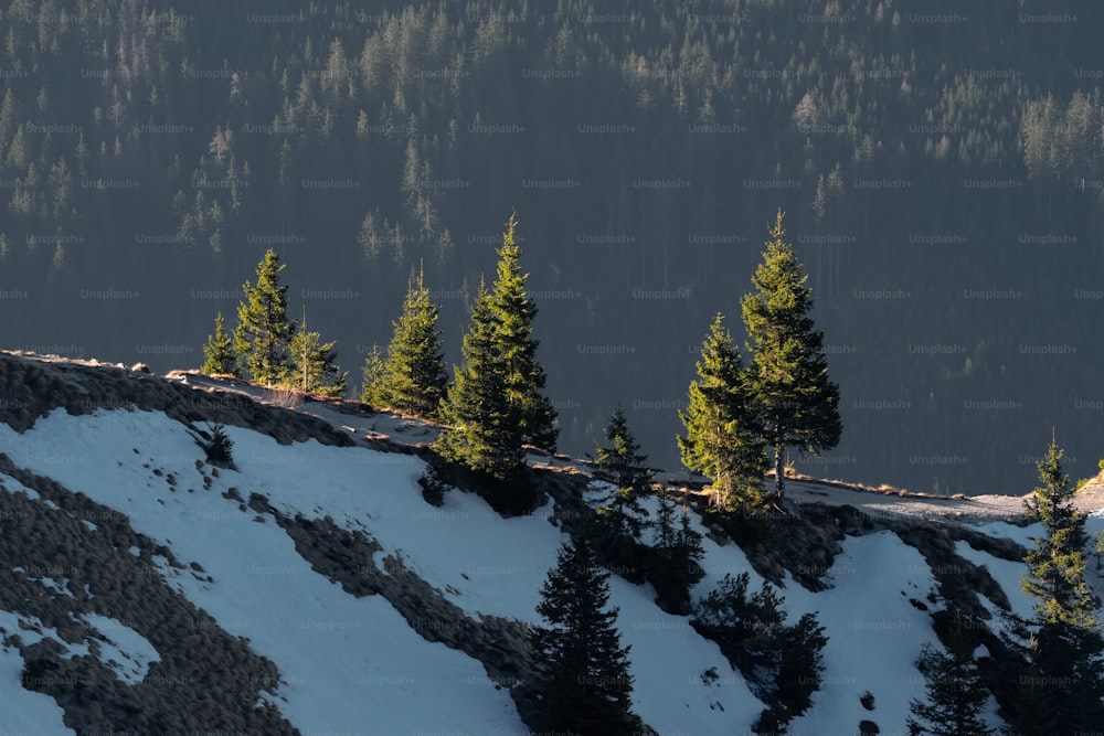 a snowy mountain with trees