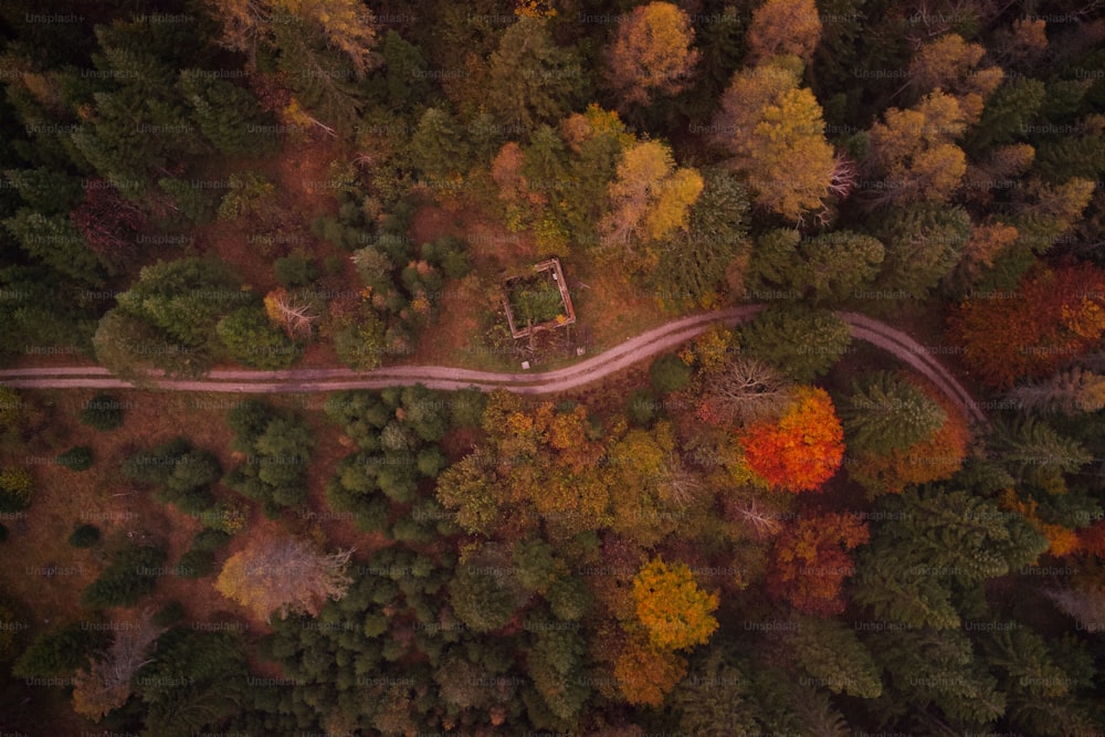 Eine kurvenreiche Straße durch einen Wald