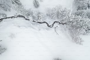 a snowy mountain with trees