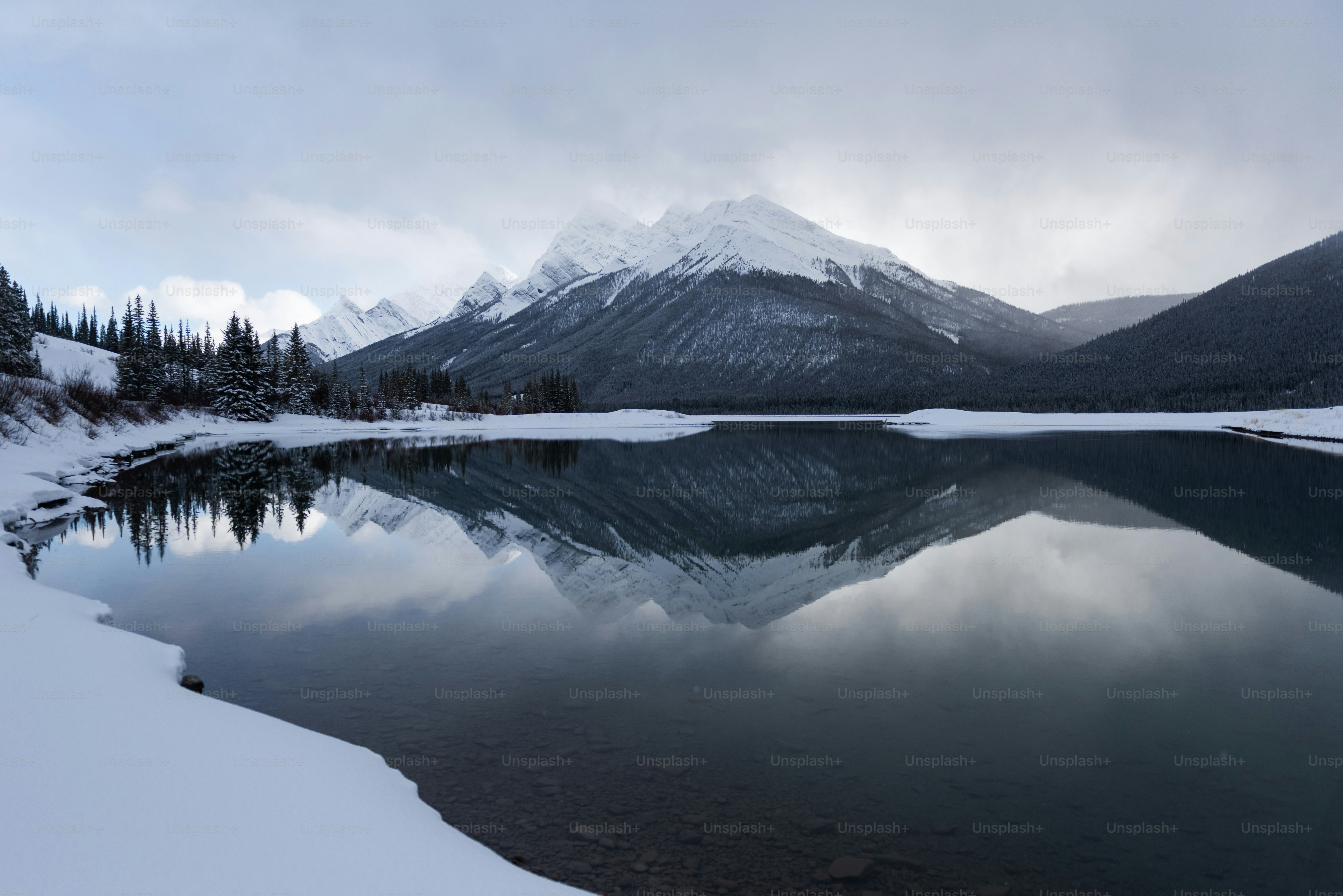 a snowy mountain with trees and water