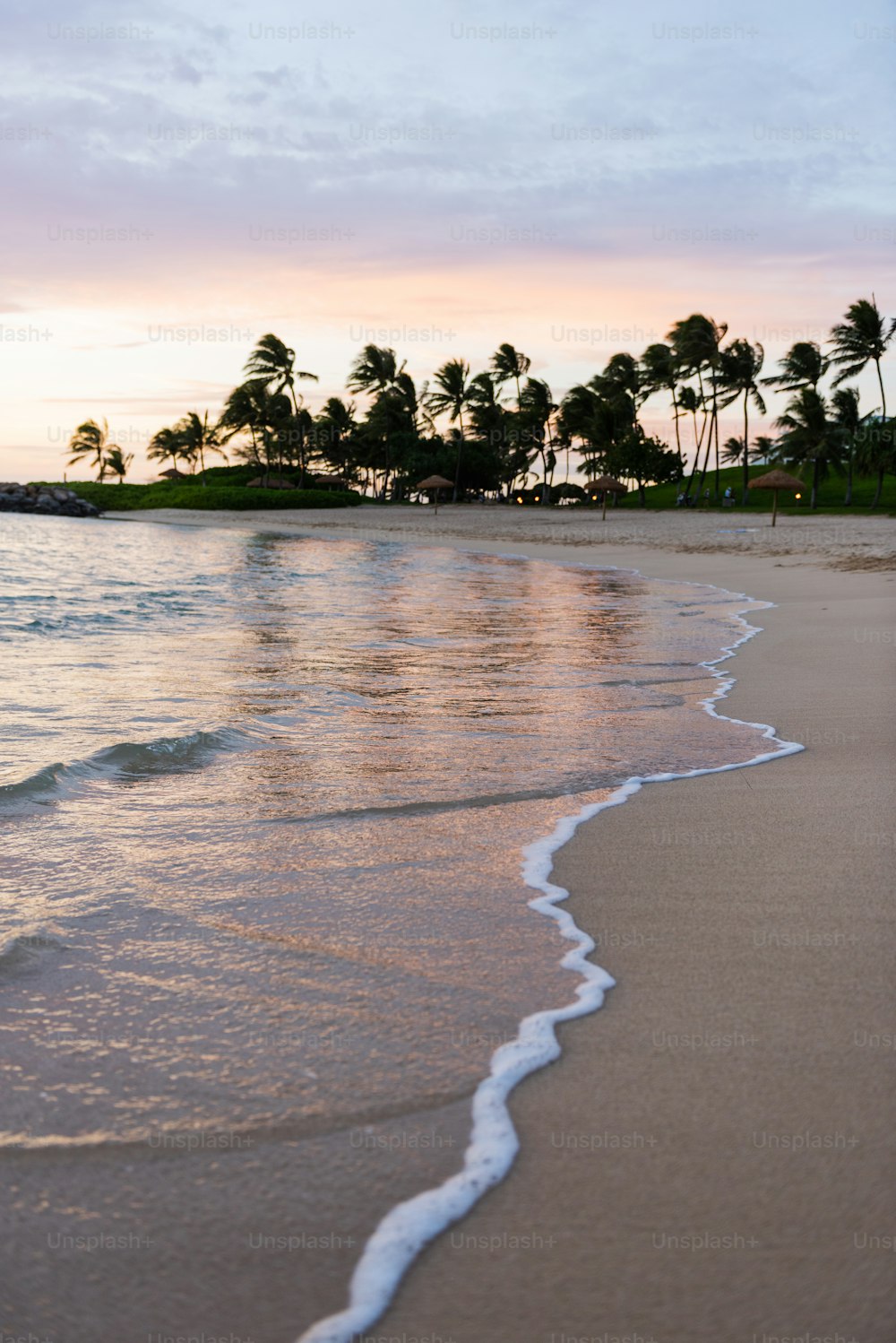 Una playa con palmeras y agua