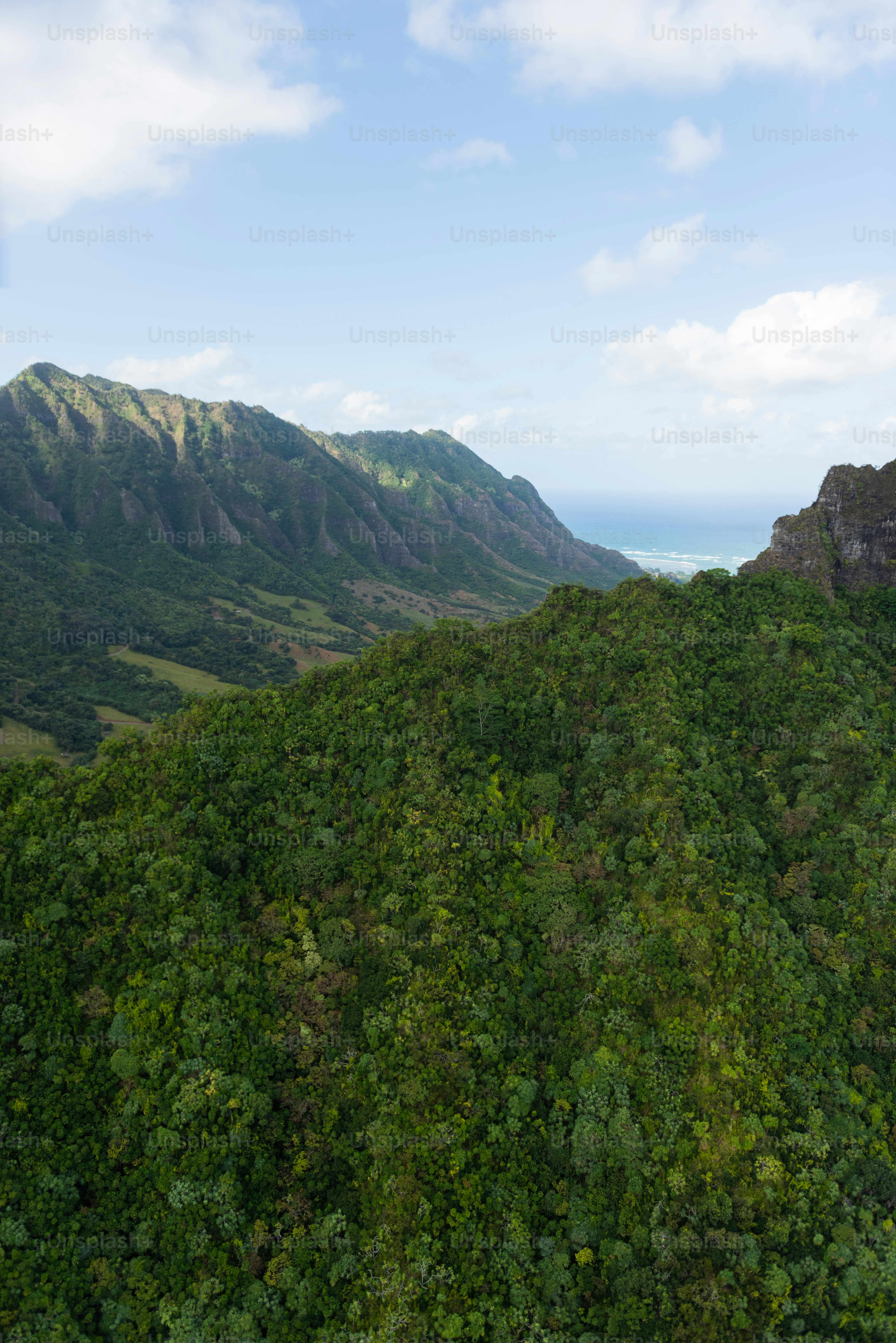 premium_photo-1669748157133-fc3a0873b3c4?ixid=M3wxMjA3fDB8MXxzZWFyY2h8MTN8fG9haHUlMjBsYW5kc2NhcGluZ3xlbnwwfHx8fDE3NjM3NjM5ODJ8MA\u0026ixlib=rb-4.1.0