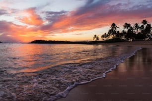 Una playa con palmeras y una puesta de sol