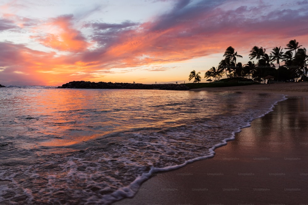 uma praia com palmeiras e um pôr do sol