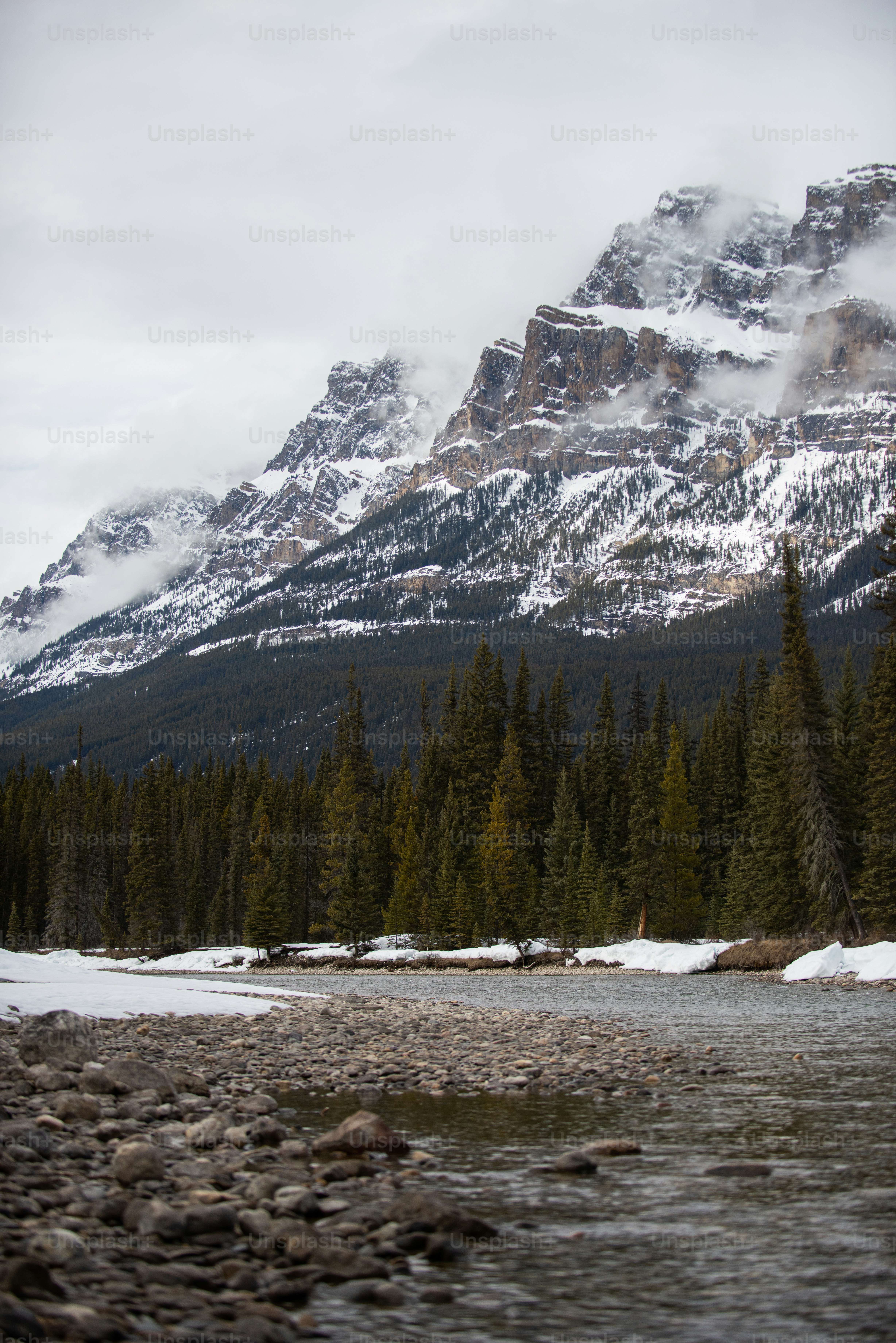 un fiume con alberi e neve sul lato