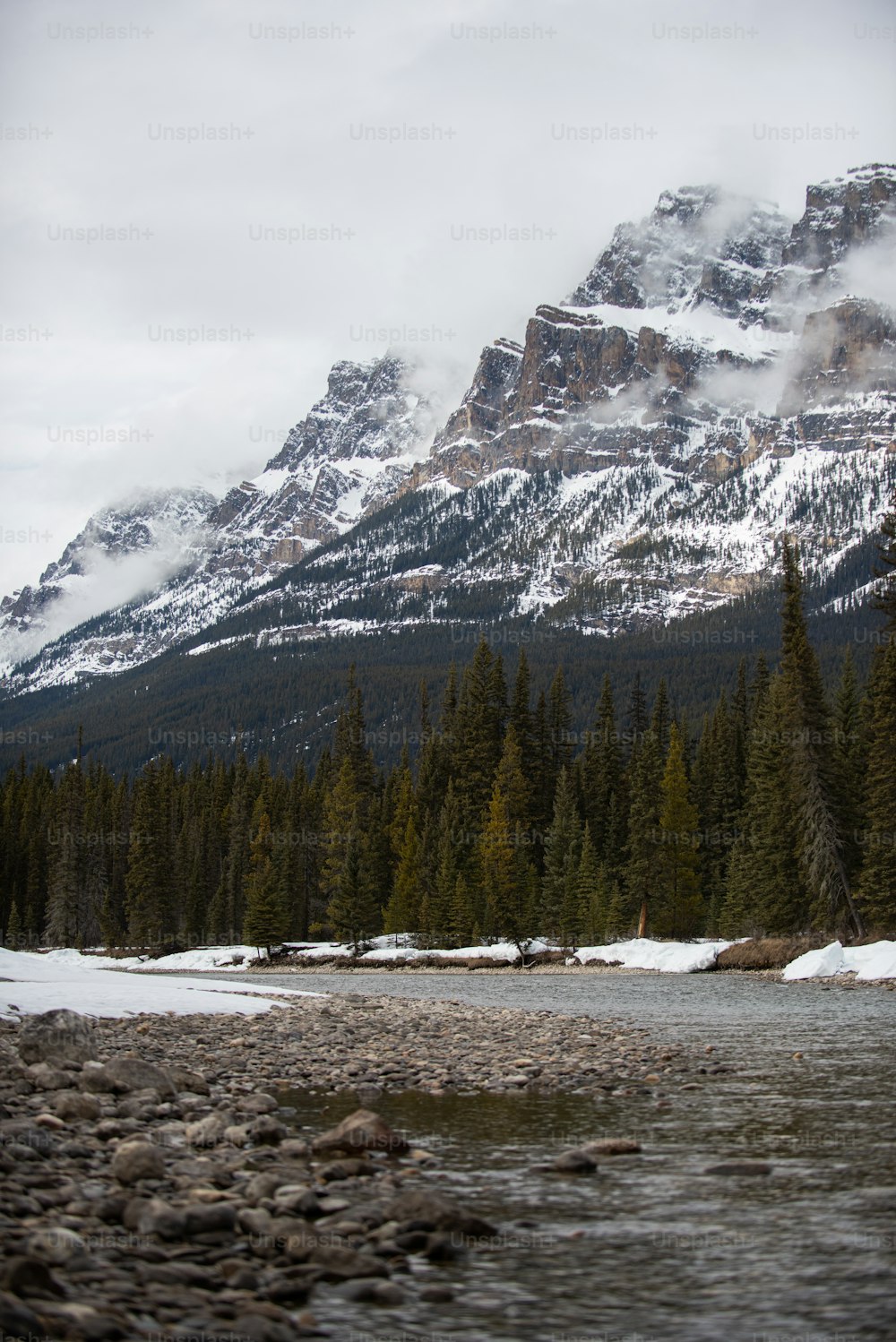 a river with trees and snow on the side