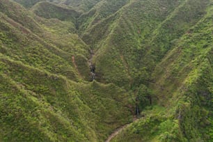 a person walking on a path in a hilly area