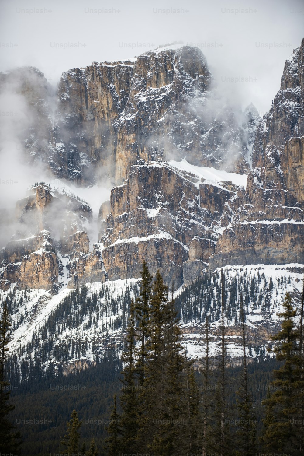 a snowy mountain with trees