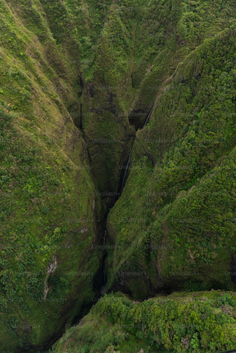 a river running through a green valley