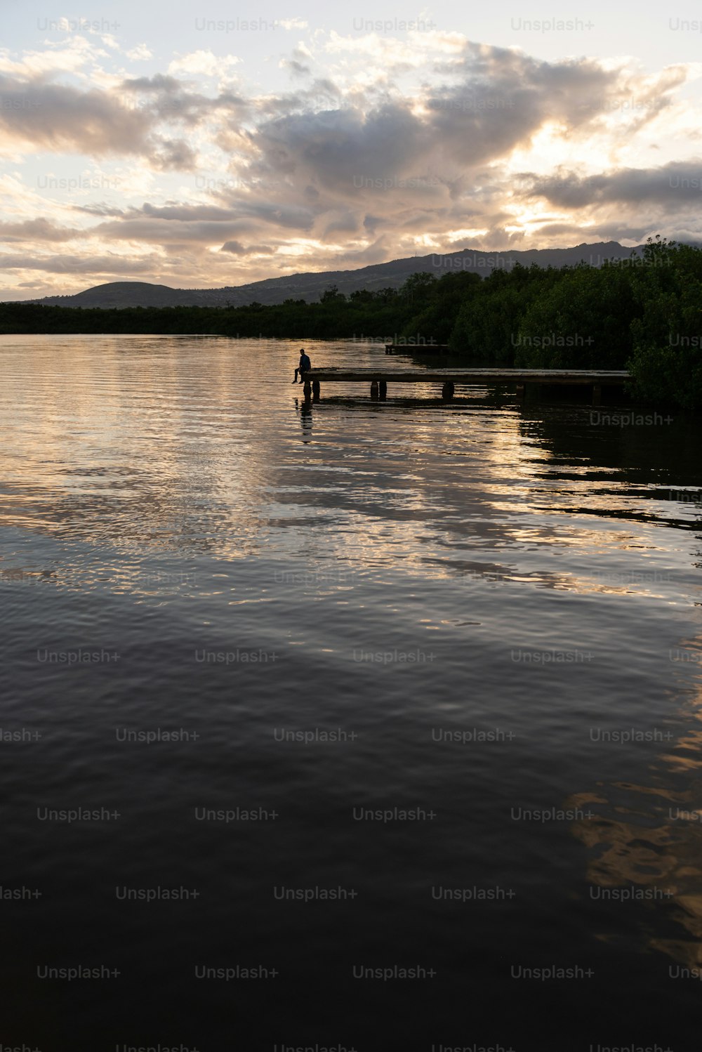 a couple people on a dock over a lake