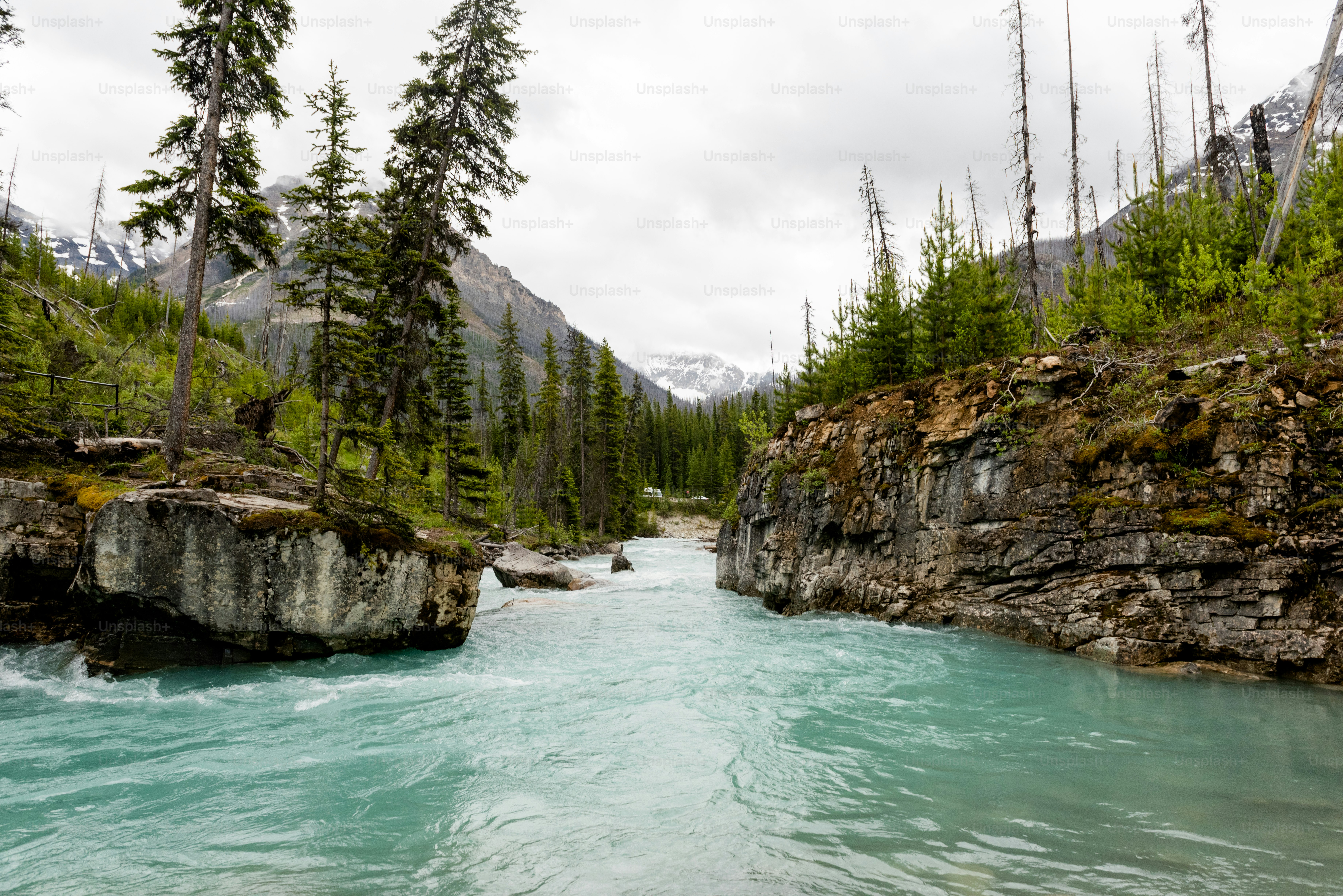 um corpo de água com árvores e rochas ao lado