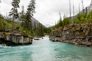 a body of water with trees and rocks on the side