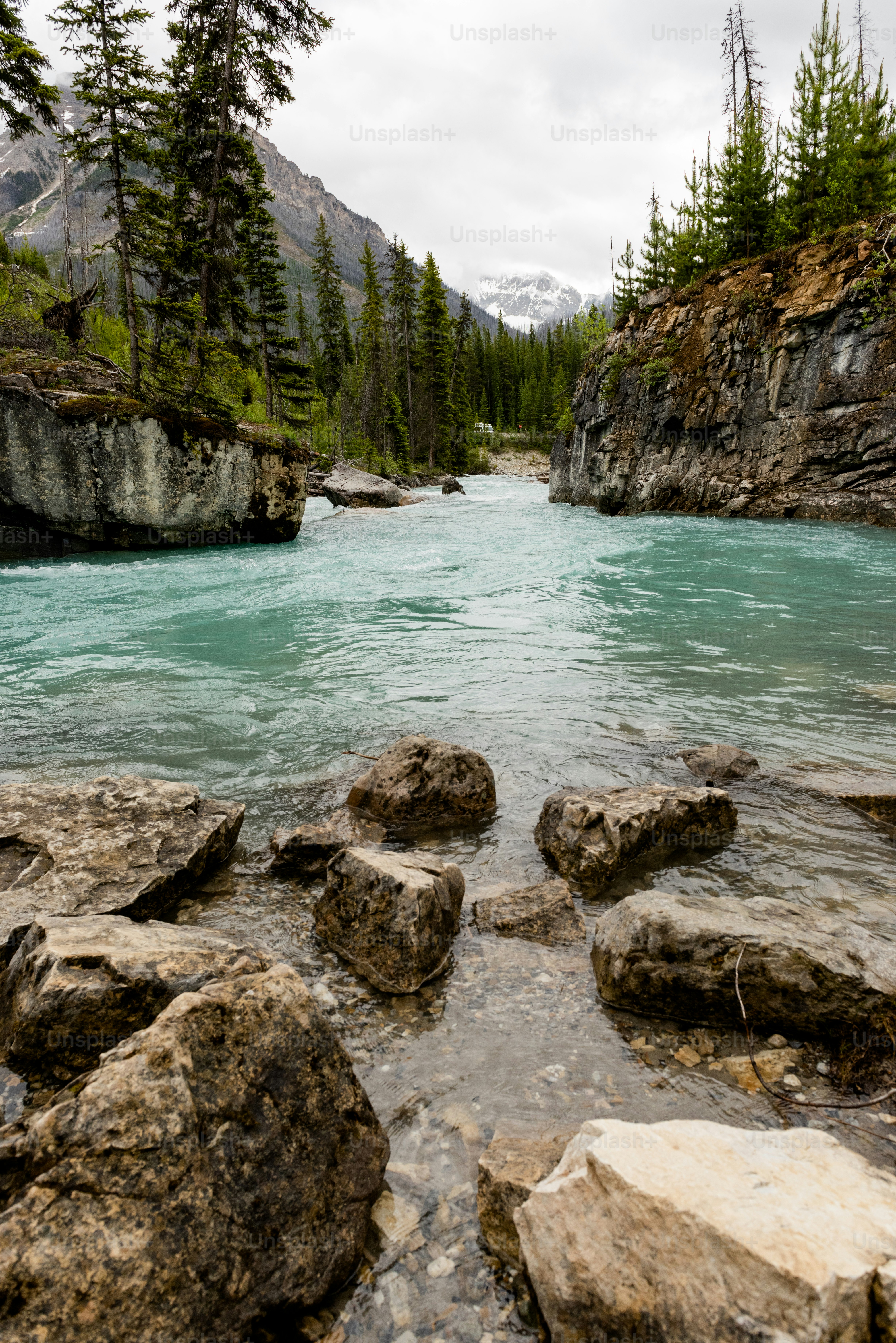a rocky beach with trees and mountains in the background