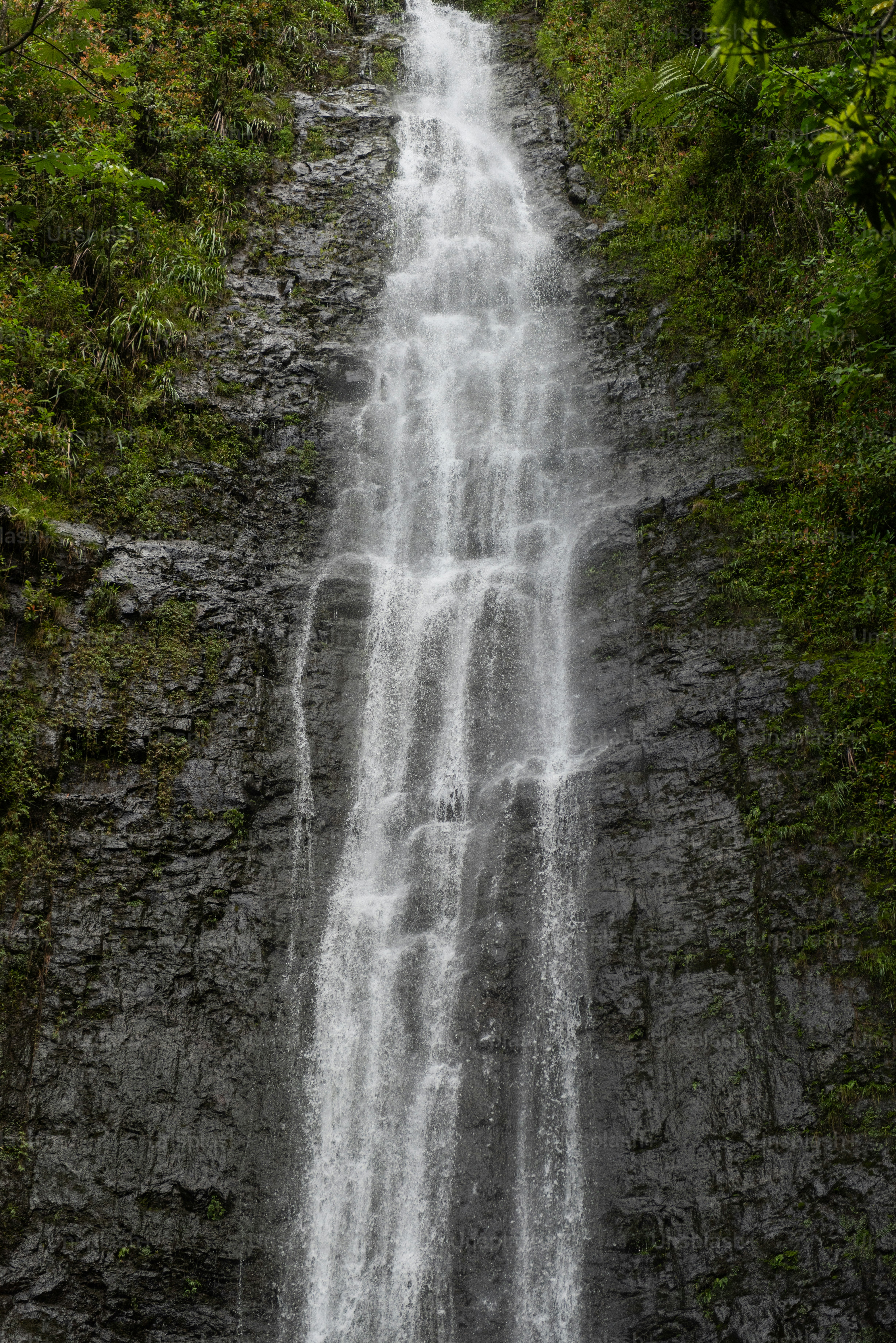Une cascade dans une forêt