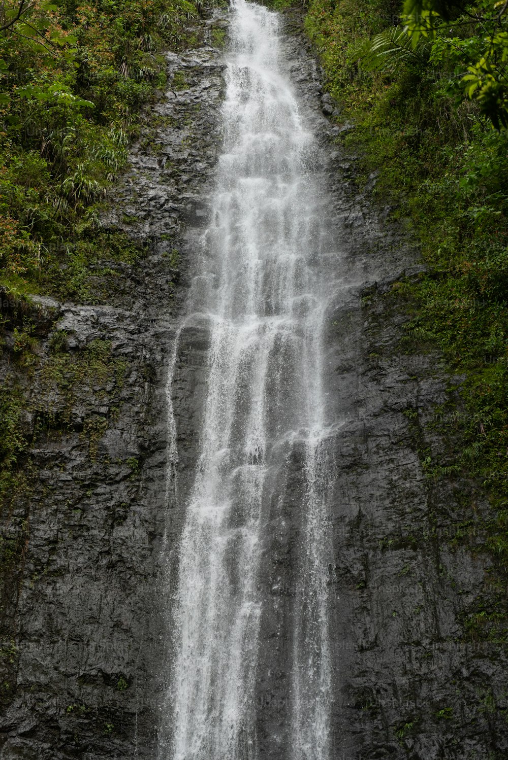 Una cascada en un bosque