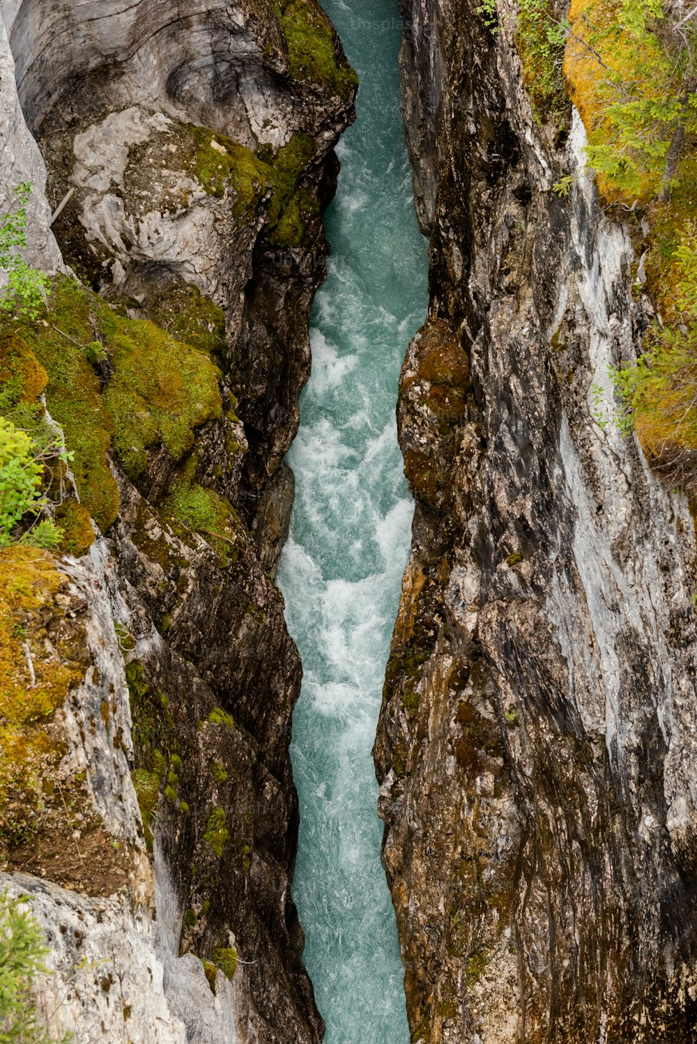 a river flowing through a rocky area