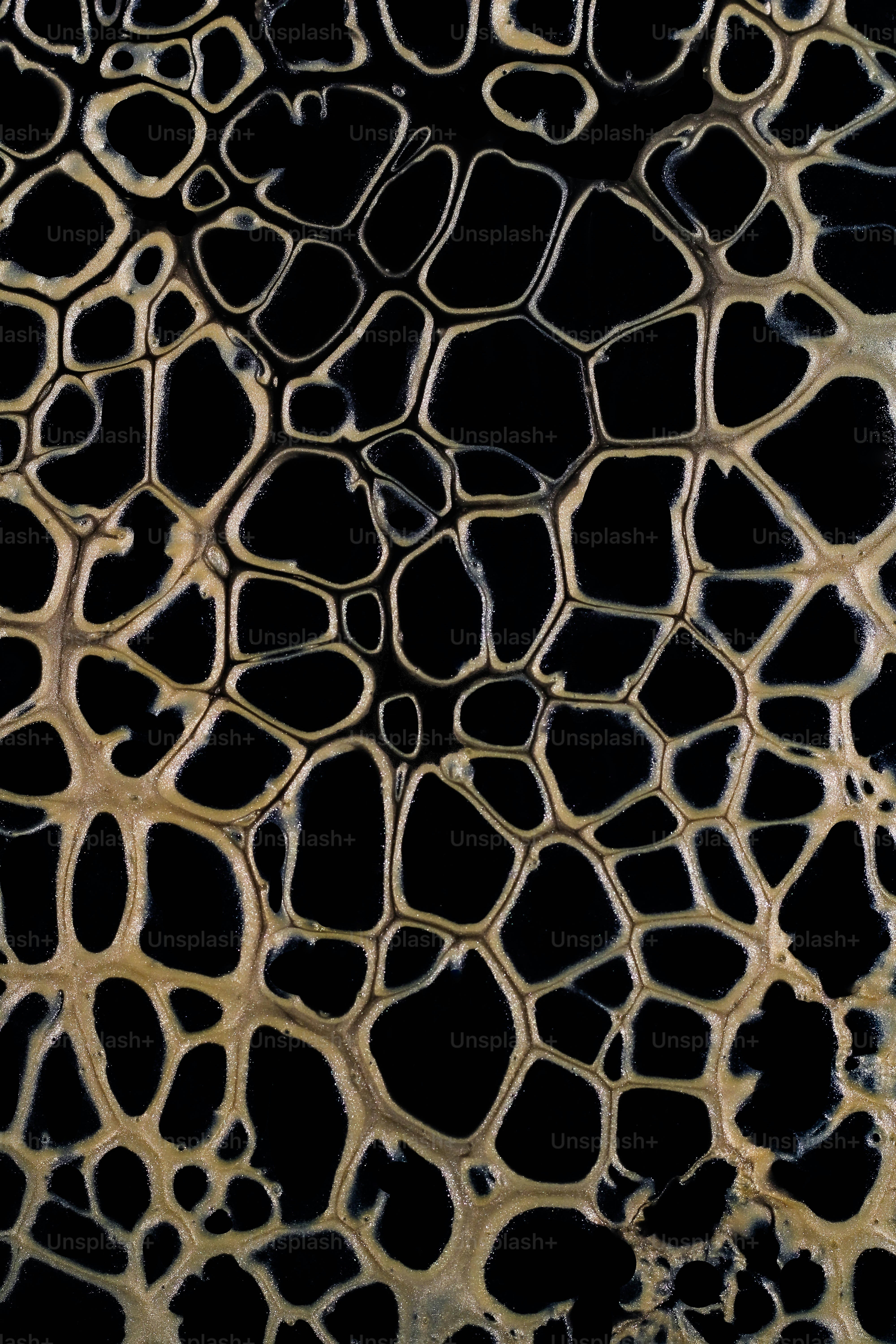 a close up of a black and white design