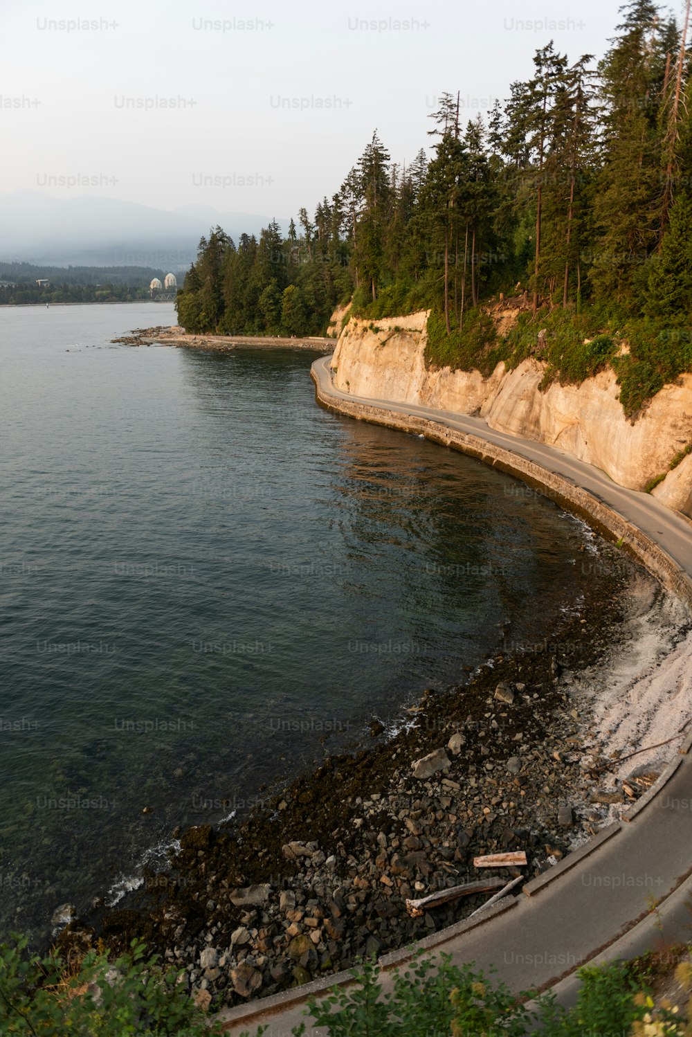 a body of water with trees on the side