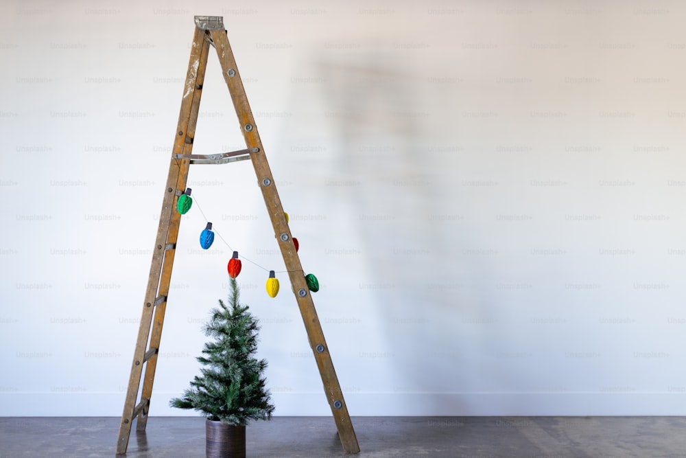 un arbre avec un arbre devant lui