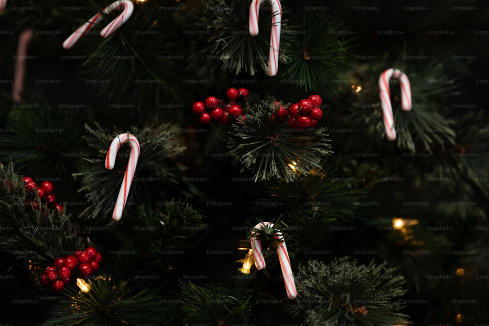 Ein Weihnachtsbaum mit Ornamenten
