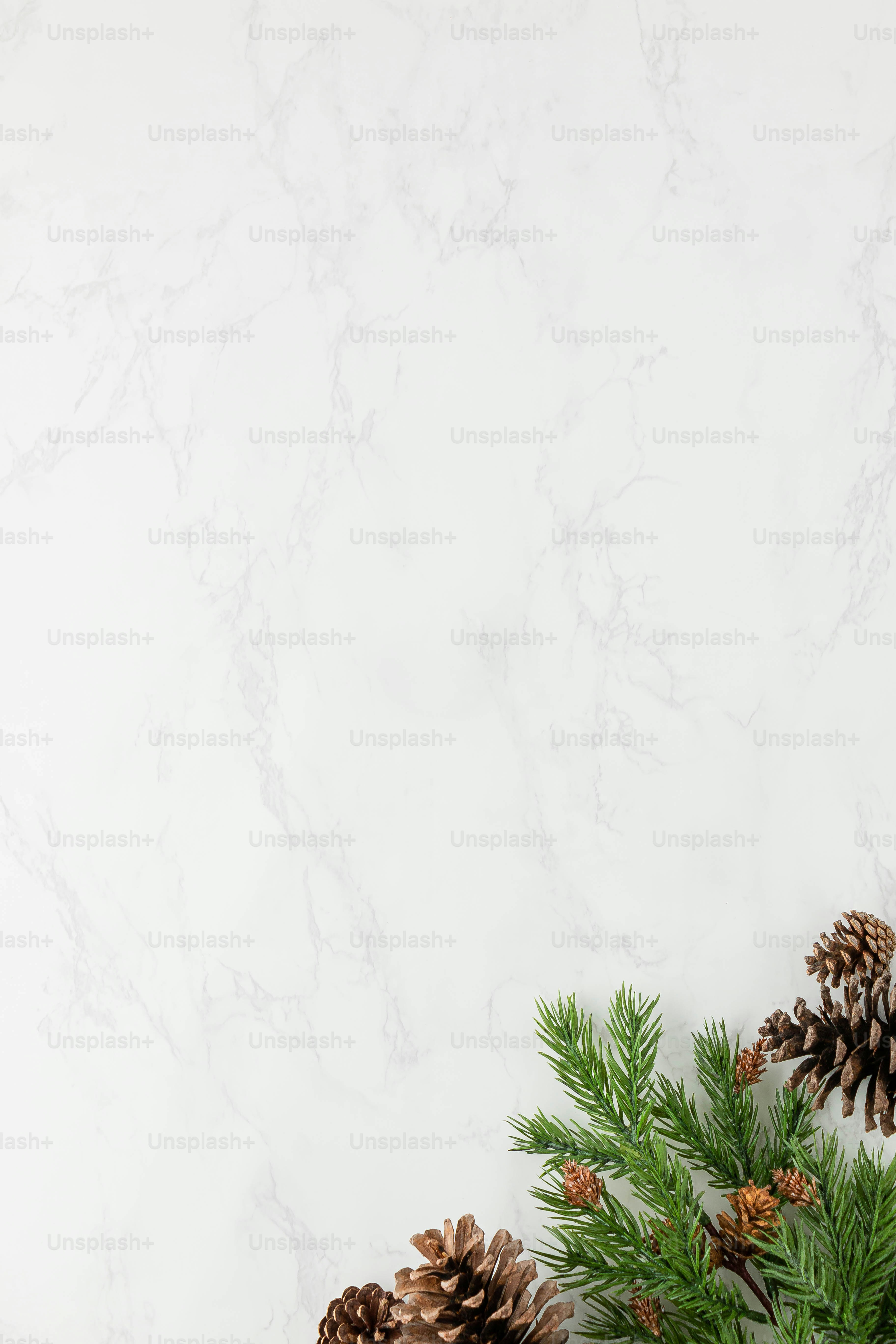 a waterfall with plants and rocks