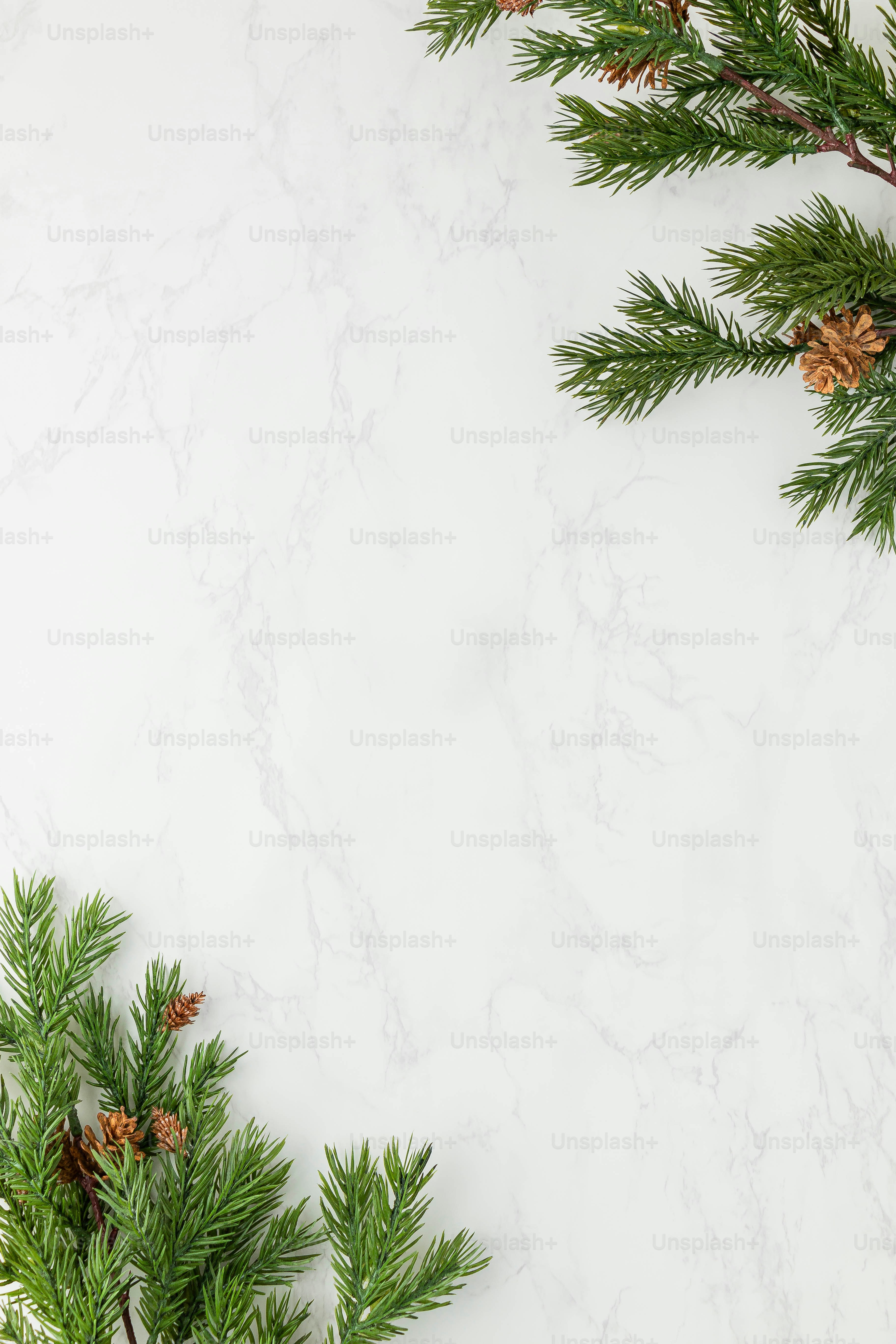 una rama de árbol con hojas