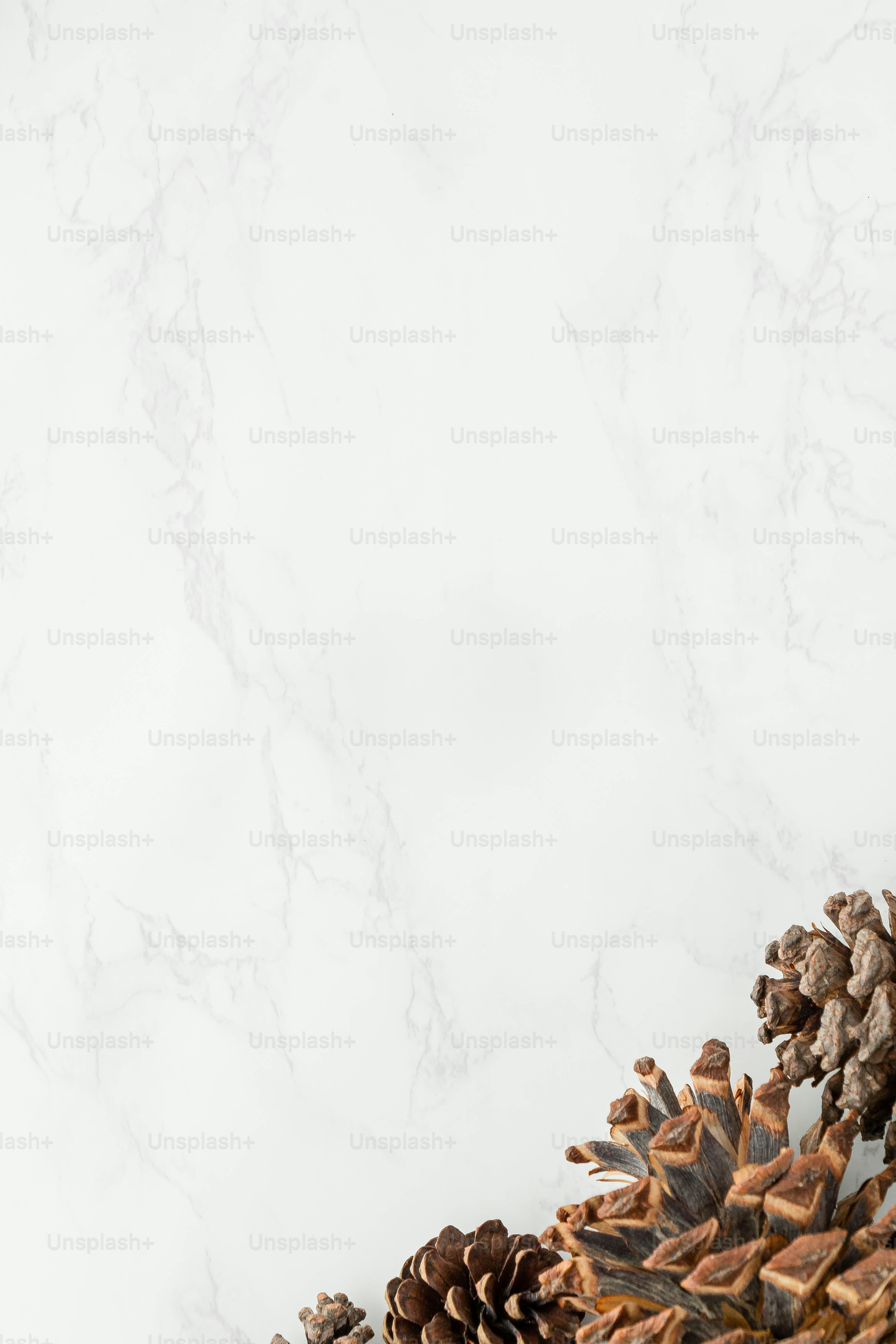 eine Gruppe von Vögeln auf einem Ast