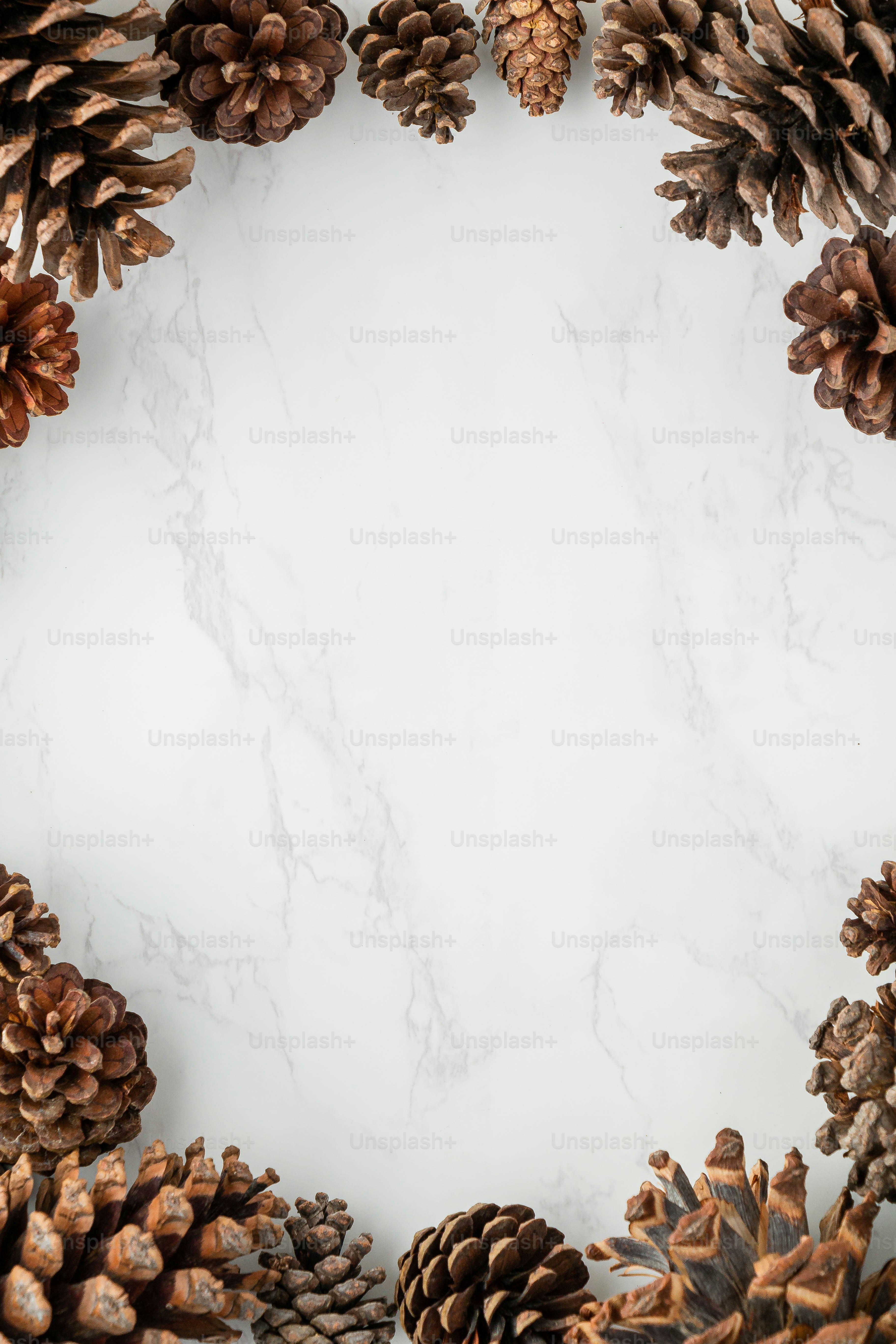 Eine Gruppe Tannenzapfen