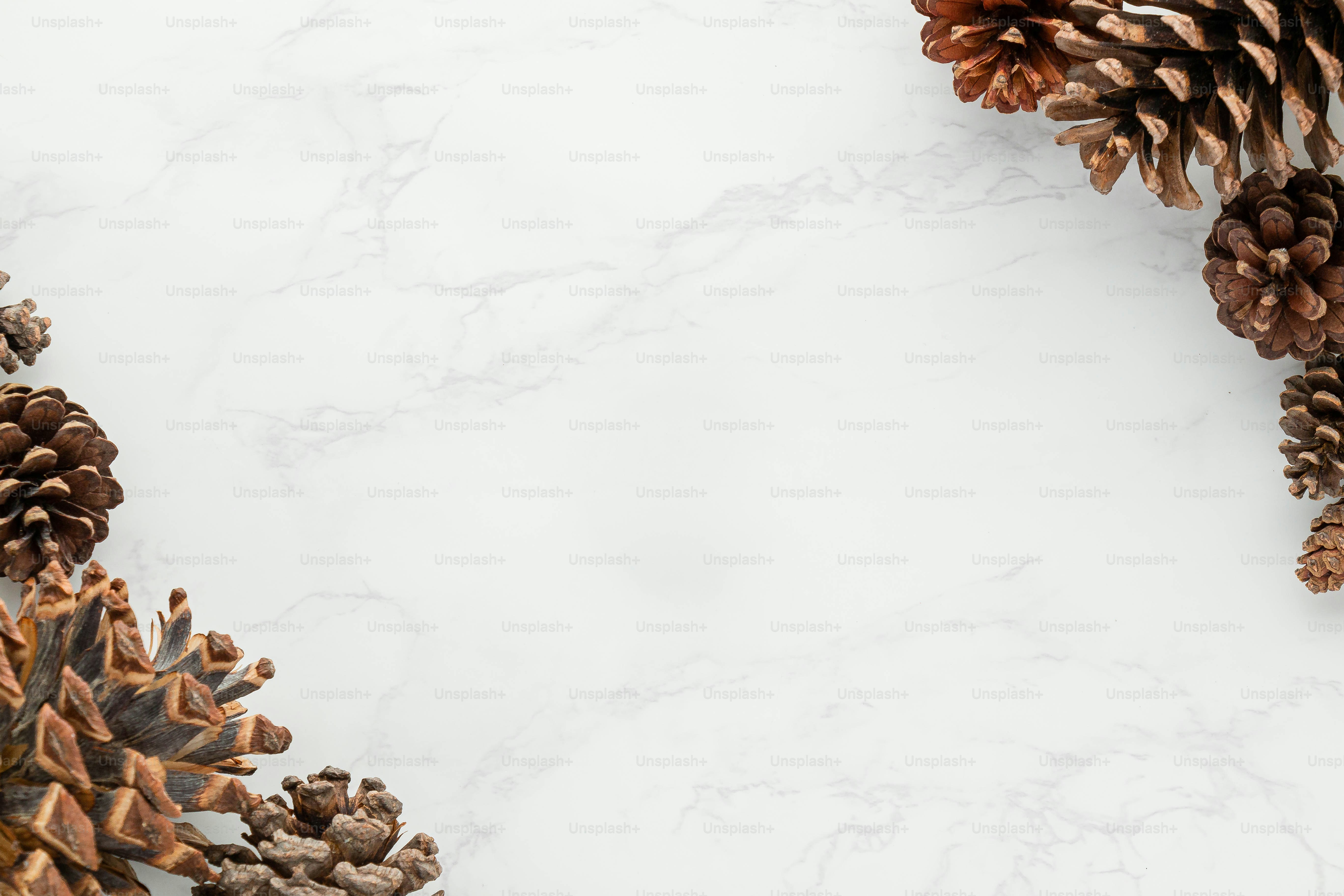 Eine verschneite Landschaft mit Tannenzapfen