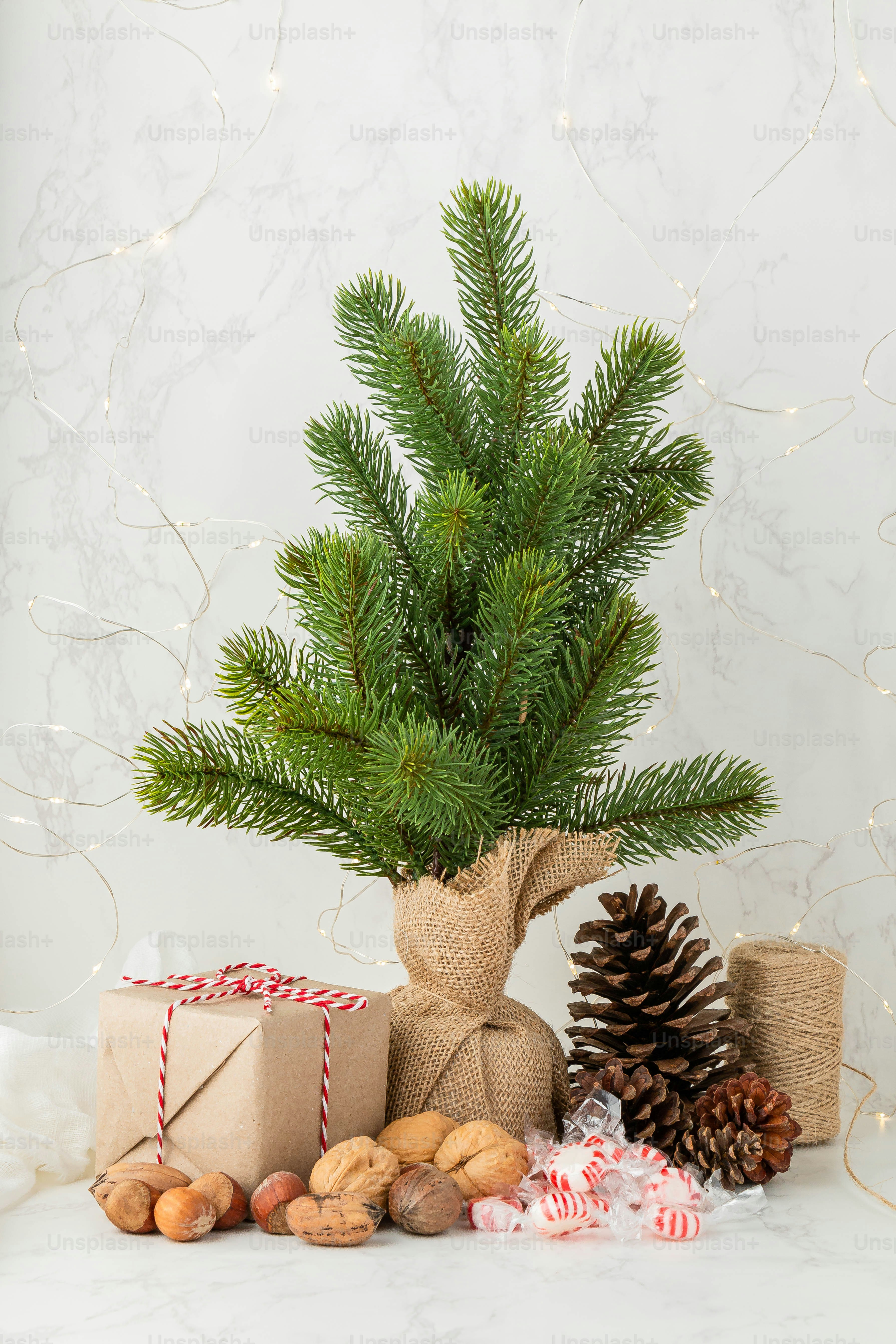 a small tree with a small pine tree in the middle