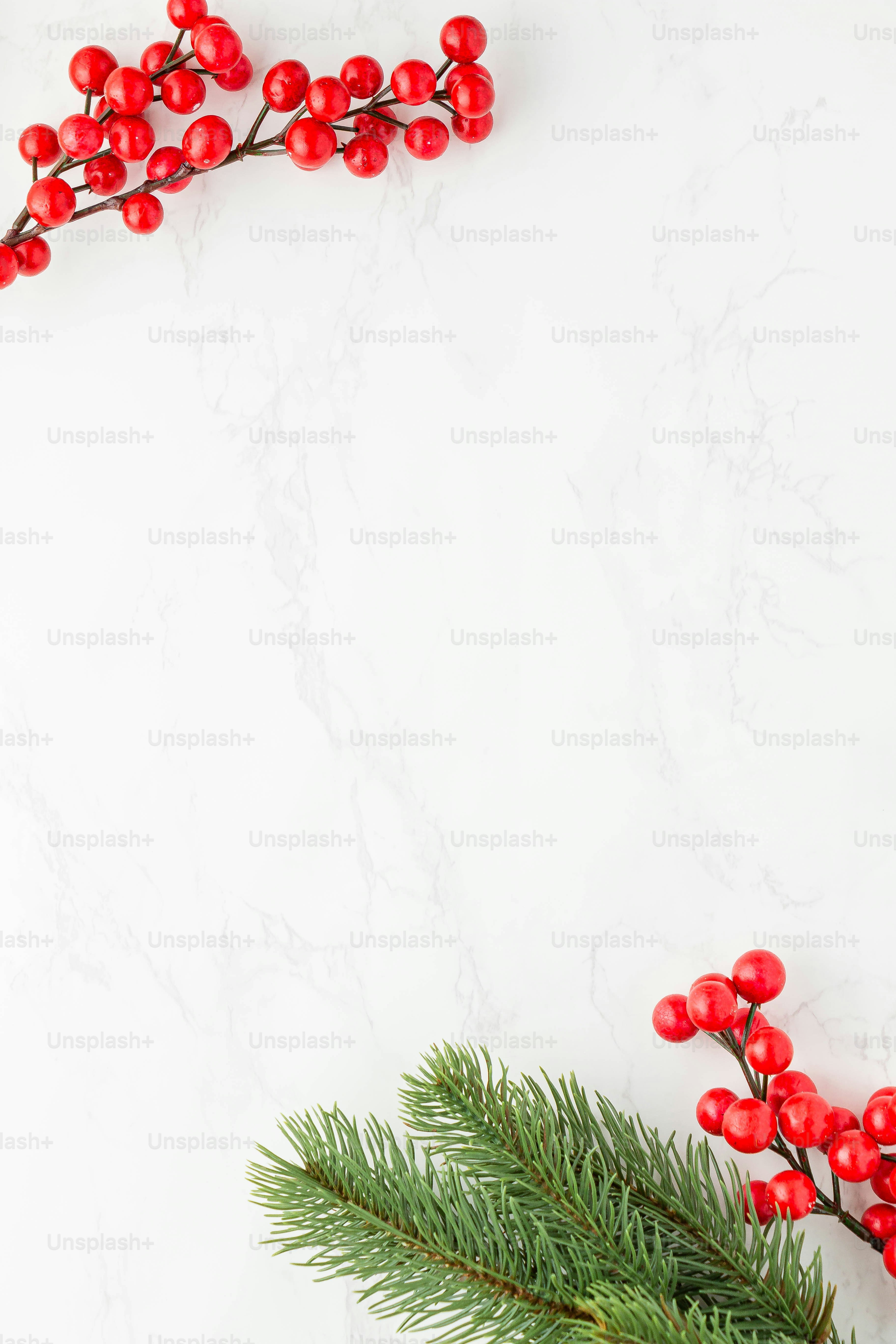 Nahaufnahme einer Pflanze