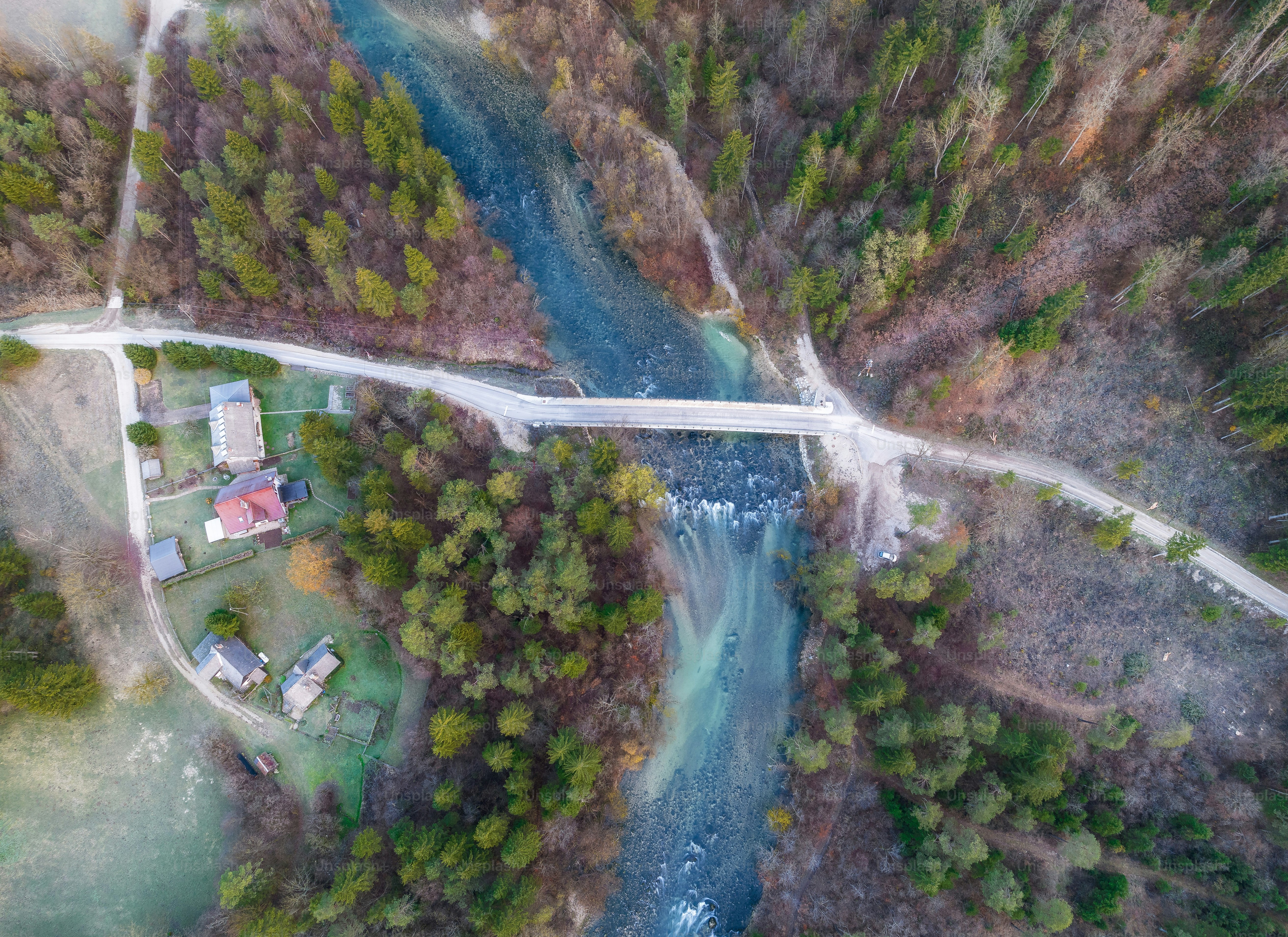 Un fiume che si snoda attraverso una foresta