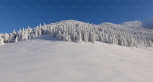 Eine verschneite Landschaft mit Bäumen