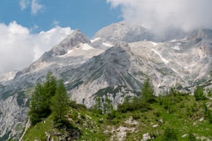 a mountain with trees and snow