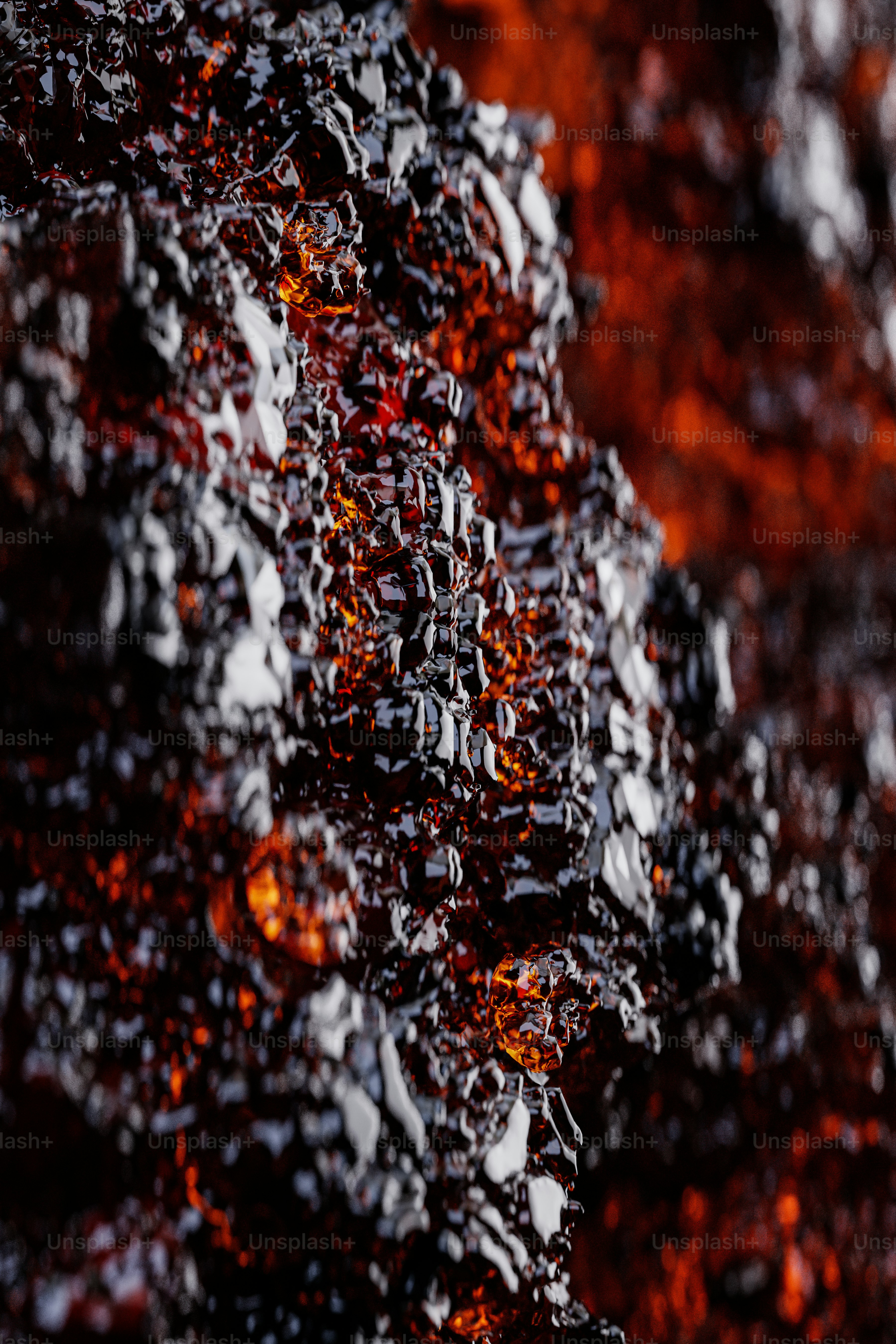 Gros plan d’un arbre