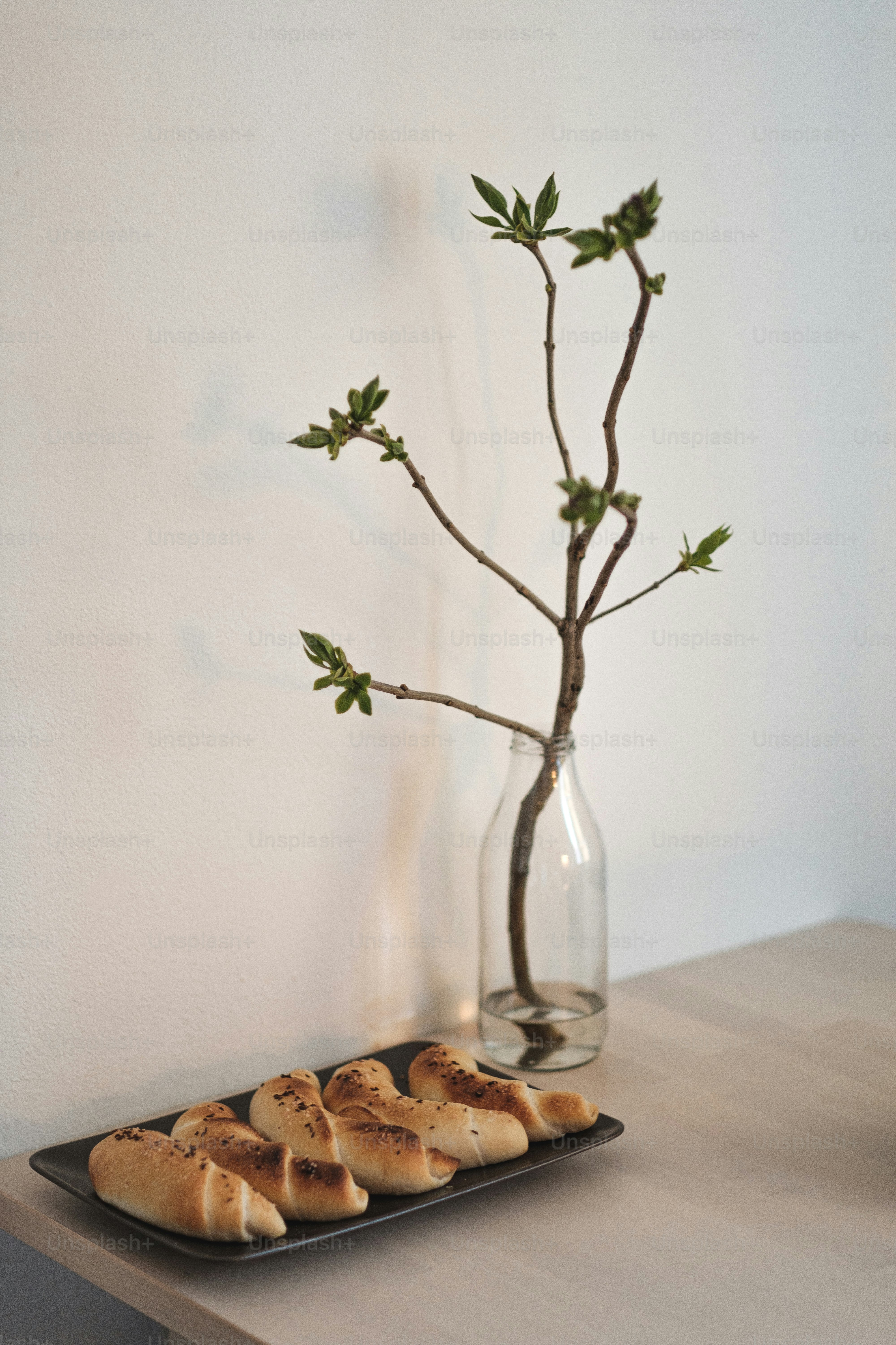 un vase avec une plante dedans