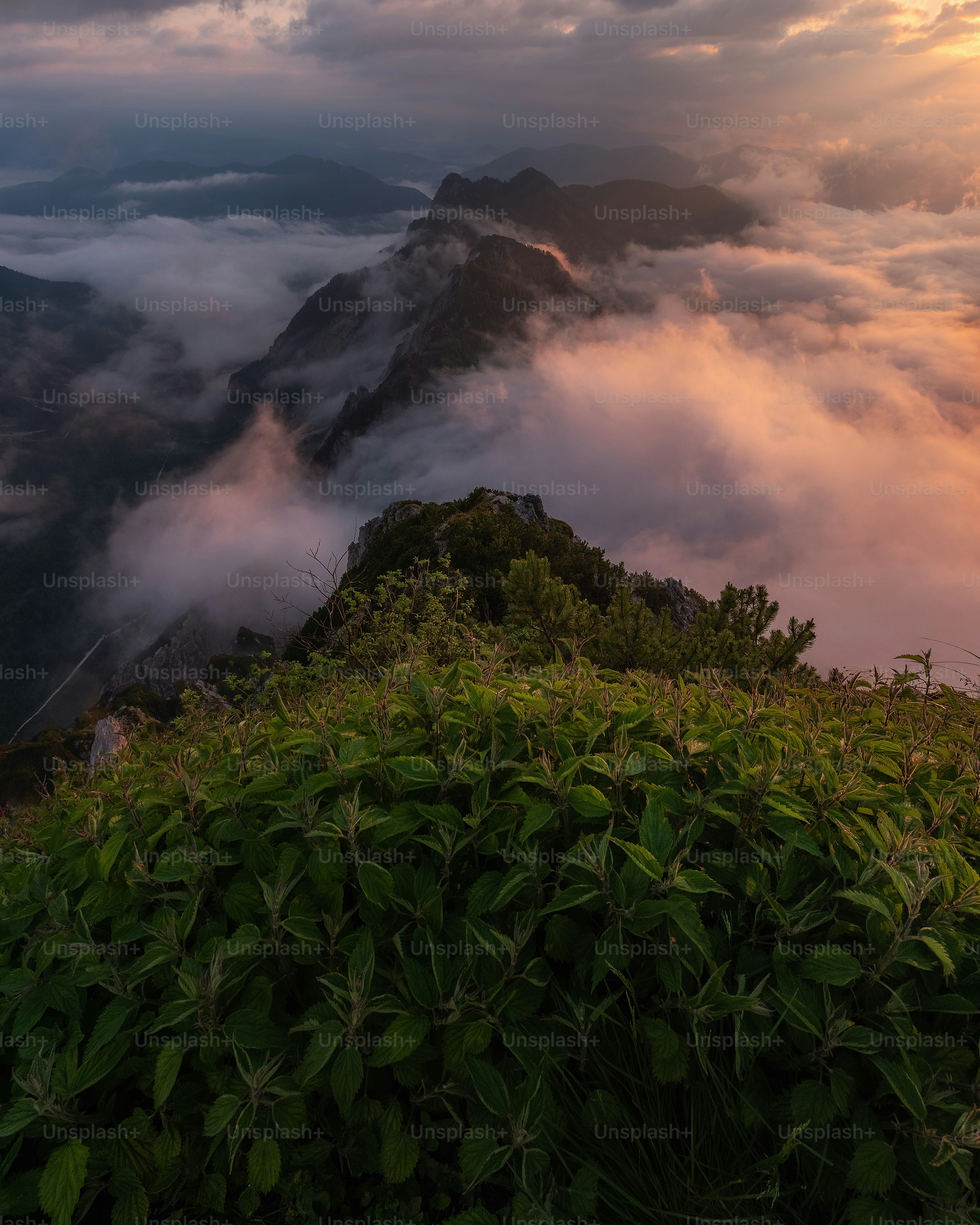 a green hillside with clouds and fog