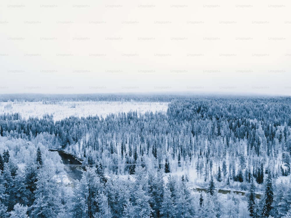 uma paisagem nevada com árvores