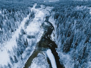 a snowy mountain with a river running through it