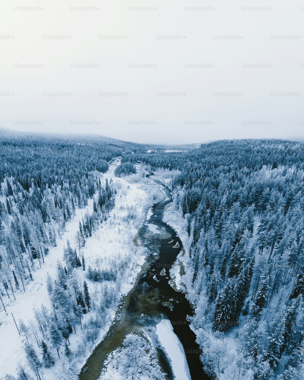 木々のある雪山