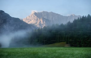 a grassy field with trees and mountains in the background